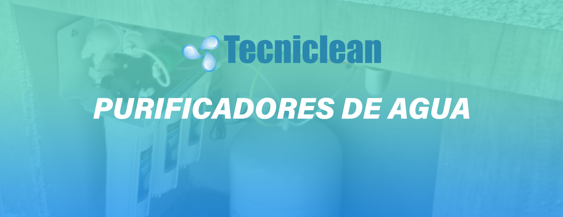 Conoce nuestros servicios